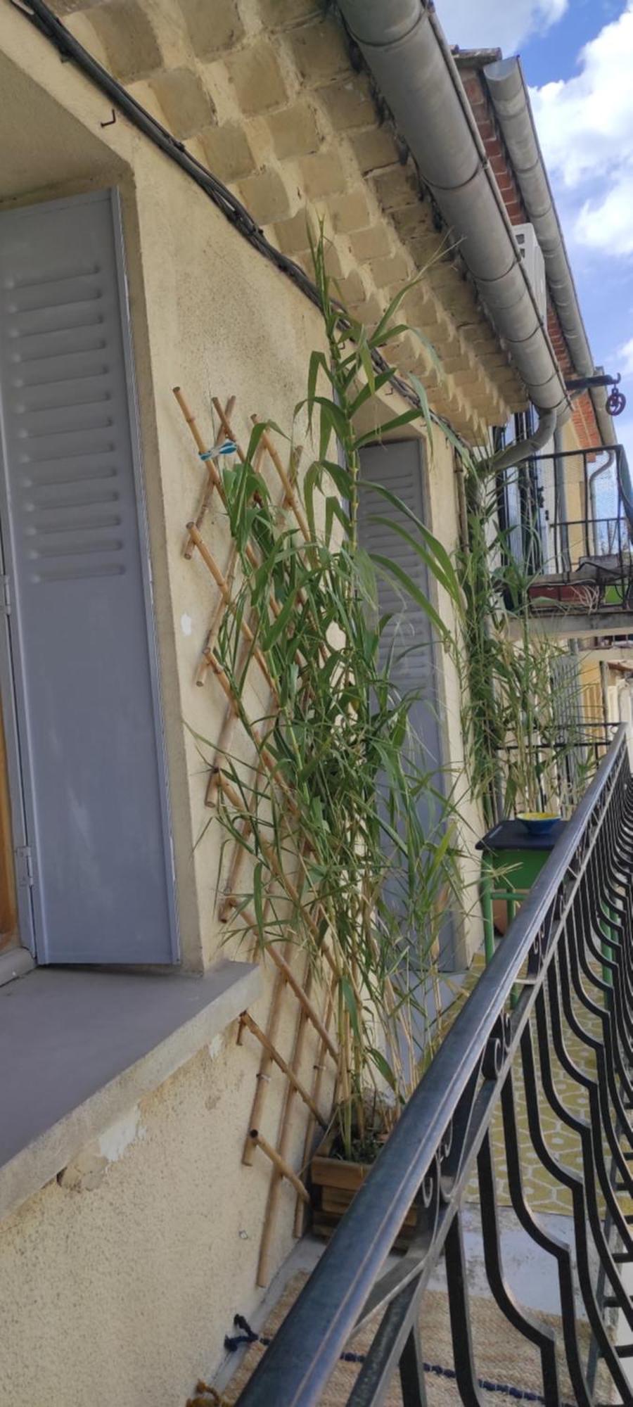 Y Here Vaison-la-Romaine Exterior foto